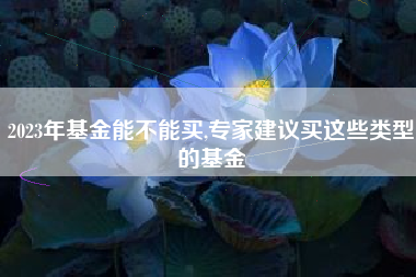 2023年基金能不能买,专家建议买这些类型的基金