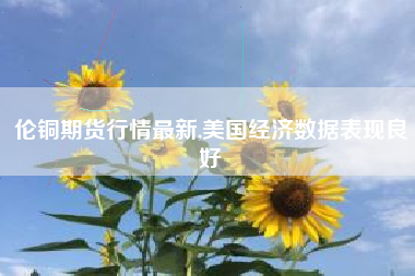 伦铜期货行情最新,美国经济数据表现良好