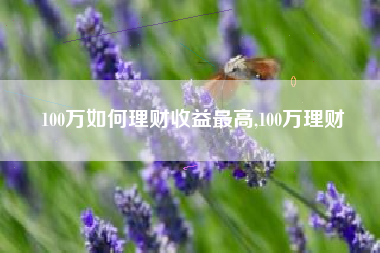 100万如何理财收益最高,100万理财