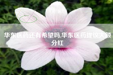 华东医药还有希望吗,华东医药提议大额分红
