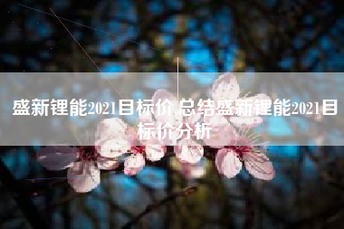 盛新锂能2021目标价,总结盛新锂能2021目标价分析