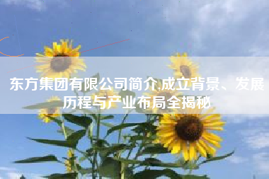 东方集团有限公司简介,成立背景、发展历程与产业布局全揭秘