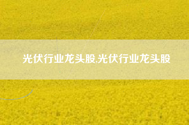 光伏行业龙头股,光伏行业龙头股