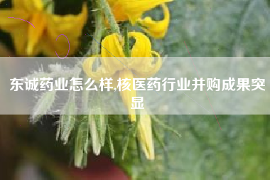 东诚药业怎么样,核医药行业并购成果突显