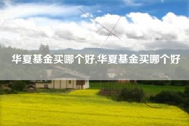 华夏基金买哪个好,华夏基金买哪个好