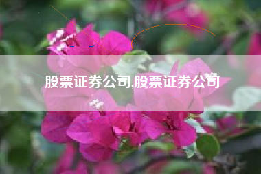 股票证券公司,股票证券公司