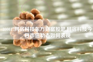 300017网宿科技东方财富股吧,网宿科技今日市值动态如何表现