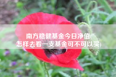 南方稳健基金今日净值(
怎样去看一支基金可不可以买)