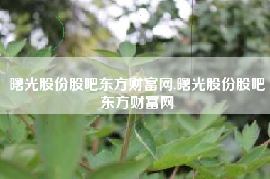 曙光股份股吧东方财富网,曙光股份股吧东方财富网