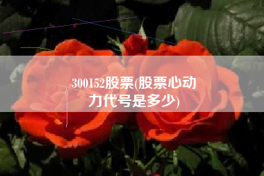 300152股票(股票心动
力代号是多少) 300152股票(股票心动
力代号是多少)