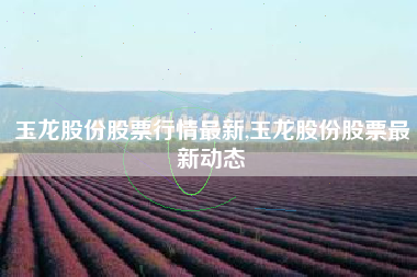 玉龙股份股票行情最新,玉龙股份股票最新动态