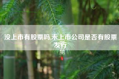 没上市有股票吗,未上市公司是否有股票发行