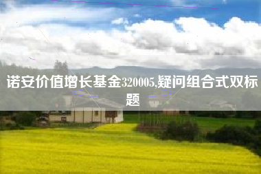 诺安价值增长基金320005,疑问组合式双标题