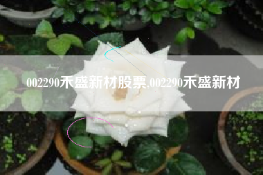002290禾盛新材股票,002290禾盛新材