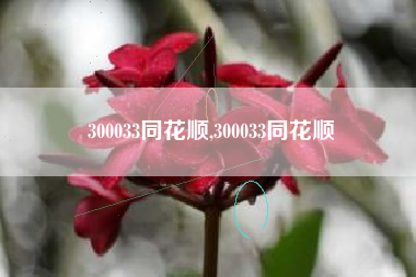 300033同花顺,300033同花顺
