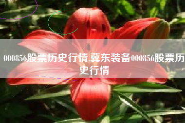 000856股票历史行情,冀东装备000856股票历史行情