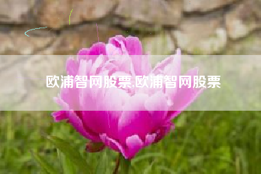 欧浦智网股票,欧浦智网股票
