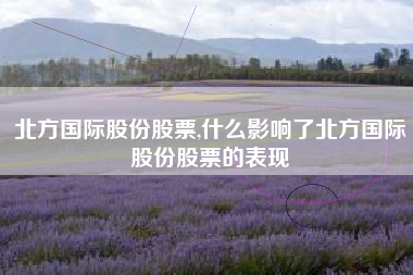 北方国际股份股票,什么影响了北方国际股份股票的表现