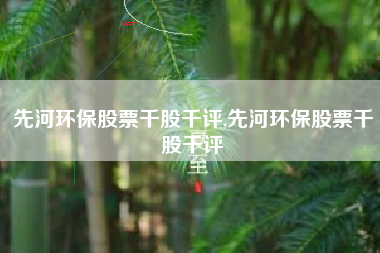 先河环保股票千股千评,先河环保股票千股千评