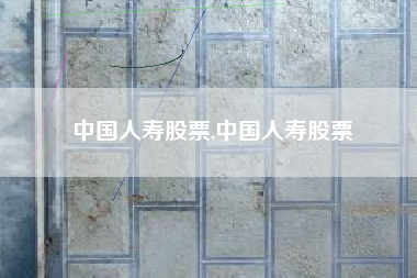 中国人寿股票,中国人寿股票