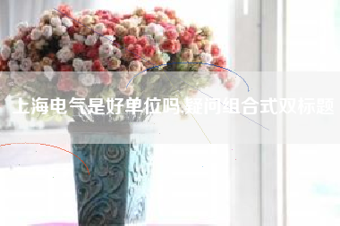 上海电气是好单位吗,疑问组合式双标题