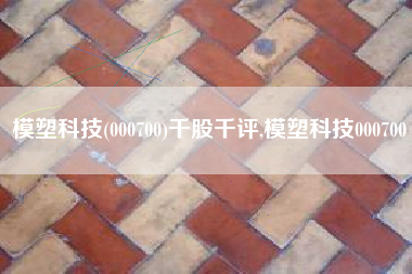 模塑科技(000700)千股千评,模塑科技000700