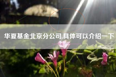 华夏基金北京分公司,具体可以介绍一下