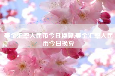 美金汇率人民币今日换算,美金汇率人民币今日换算
