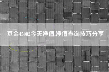 基金45002今天净值,净值查询技巧分享