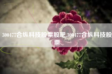 300477合纵科技股票股吧,300477合纵科技股票