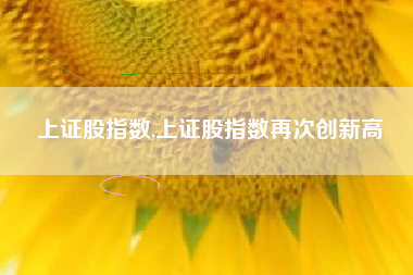 上证股指数,上证股指数再次创新高