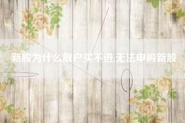 新股为什么散户买不进,无法申购新股