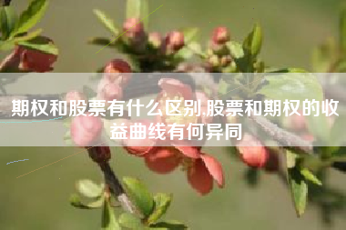 期权和股票有什么区别,股票和期权的收益曲线有何异同