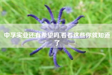 中孚实业还有希望吗,看看这些你就知道了