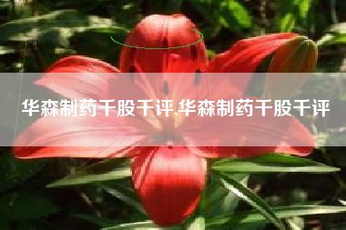 华森制药千股千评,华森制药千股千评