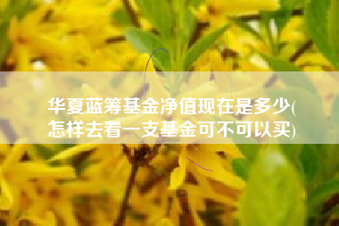 华夏蓝筹基金净值现在是多少(
怎样去看一支基金可不可以买)