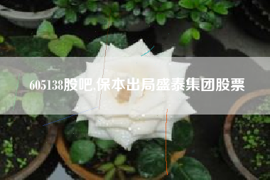 605138股吧,保本出局盛泰集团股票