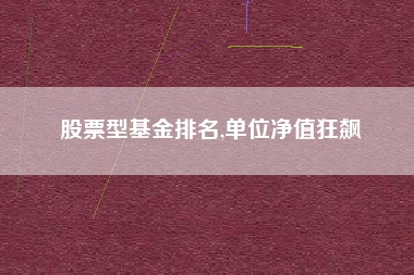 股票型基金排名,单位净值狂飙