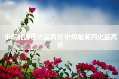中煤能源历史最高价,中煤能源历史最高价