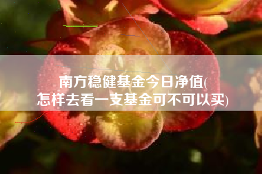 南方稳健基金今日净值(
怎样去看一支基金可不可以买)