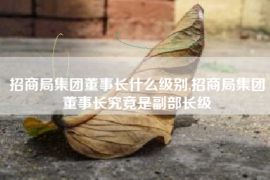 招商局集团董事长什么级别,招商局集团董事长究竟是副部长级