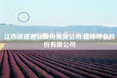 江西赣锋锂业股份有限公司,赣锋锂业股份有限公司
