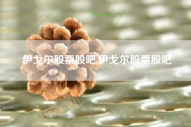 伊戈尔股票股吧,伊戈尔股票股吧