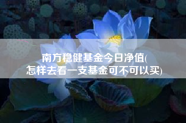 南方稳健基金今日净值(
怎样去看一支基金可不可以买)