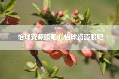 怡球资源股吧,1. 怡球资源股吧