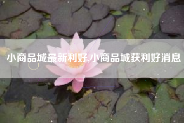 小商品城最新利好,小商品城获利好消息