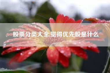股票分类大全,觉得优先股是什么
