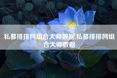 私募排排网组合大师数据,私募排排网组合大师数据
