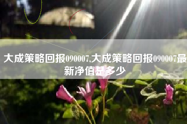 大成策略回报090007,大成策略回报090007最新净值是多少