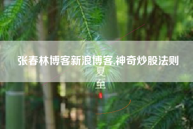 张春林博客新浪博客,神奇炒股法则